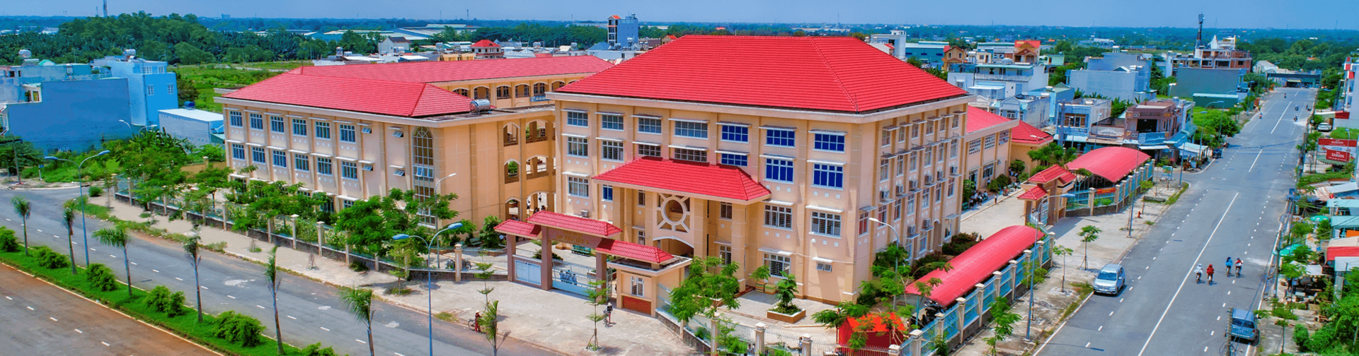 Tổng quan
